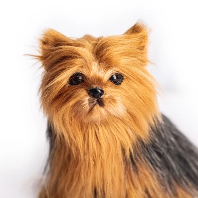 The Queen's Treasures Teacup Yorkie Puppy, Collar, & Leash For 18" Dolls 5 The Queen's Treasures Teacup Yorkie Puppy, Collar, & Leash For 18" Dolls - Image 5