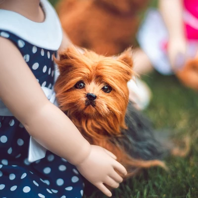 The Queen's Treasures Teacup Yorkie Puppy, Collar, & Leash For 18" Dolls 1 The Queen's Treasures Teacup Yorkie Puppy, Collar, & Leash For 18" Dolls